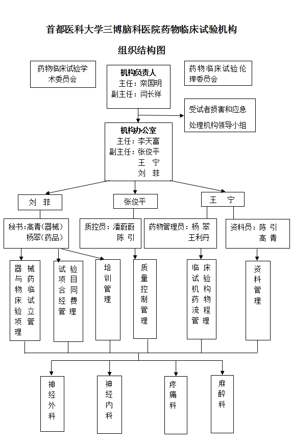 組織結(jié)構(gòu)