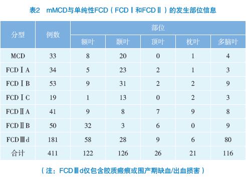 表2 mMCD與單純性FCD（FCDⅠ和FCDⅡ）的發(fā)生部位信息