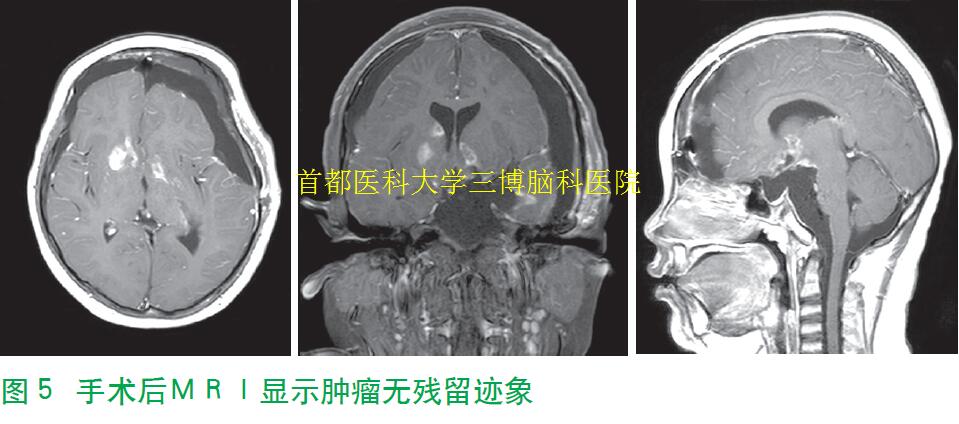 資料