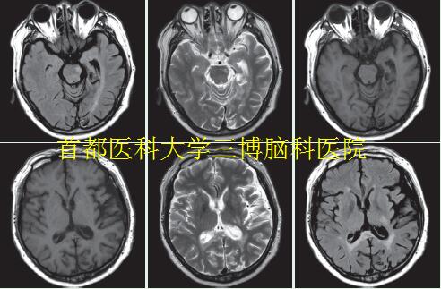 資料