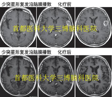 資料