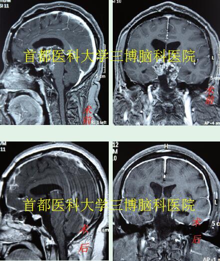 資料