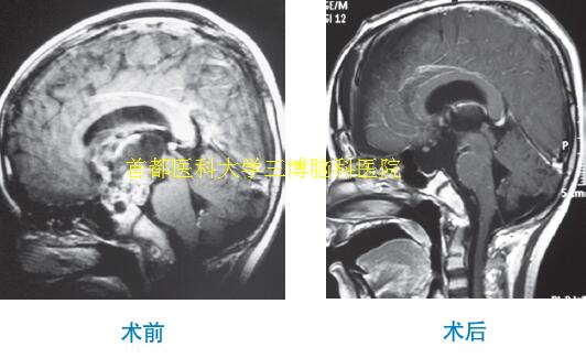 資料