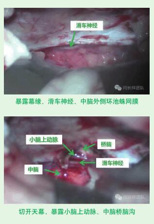 QQ截圖20170719113209.jpg