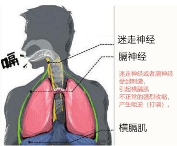 QQ截圖20180731162351.jpg