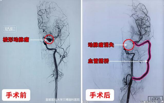 QQ截圖20180821112122.jpg